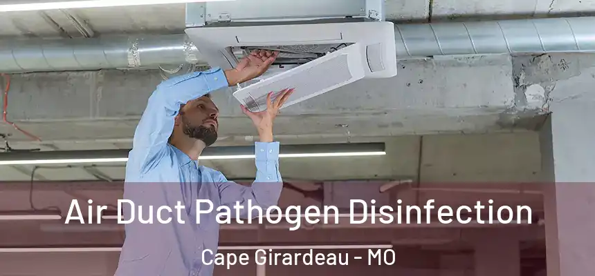 Air Duct Pathogen Disinfection Cape Girardeau - MO