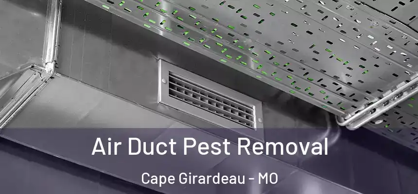  Air Duct Pest Removal Cape Girardeau - MO