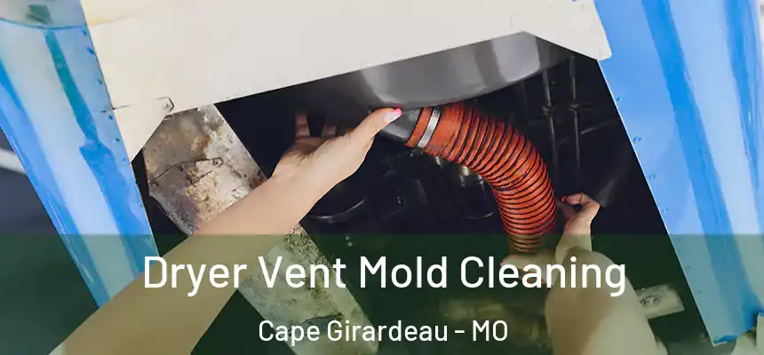 Dryer Vent Mold Cleaning Cape Girardeau - MO
