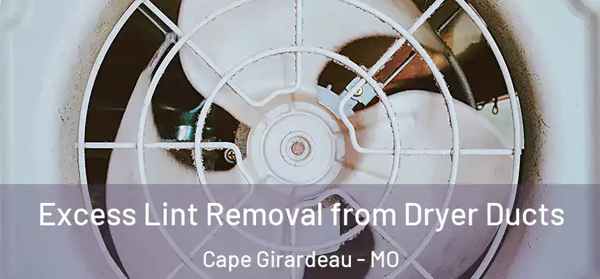  Excess Lint Removal from Dryer Ducts Cape Girardeau - MO