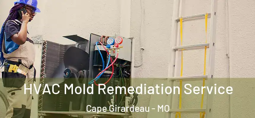  HVAC Mold Remediation Service Cape Girardeau - MO