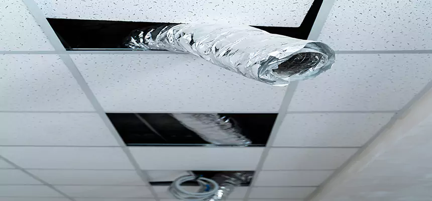 Affordable HVAC Sanitizing After Pest Removal in Cape Girardeau