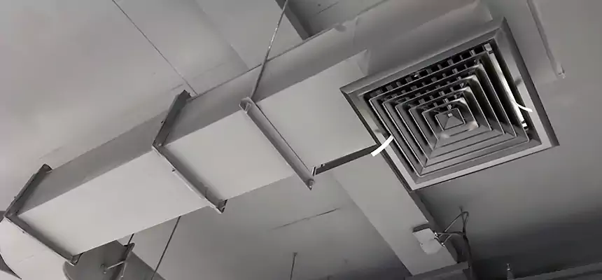 Restorative Allergy Relief Vent Cleaning – Coil, Blower & Housing Detail in Cape Girardeau