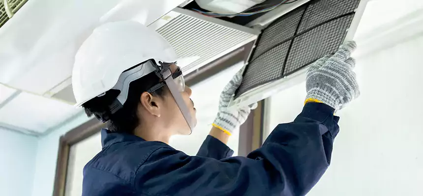 Our Mold & Mildew Removal from Air Ducts Services in Cape Girardeau, MO