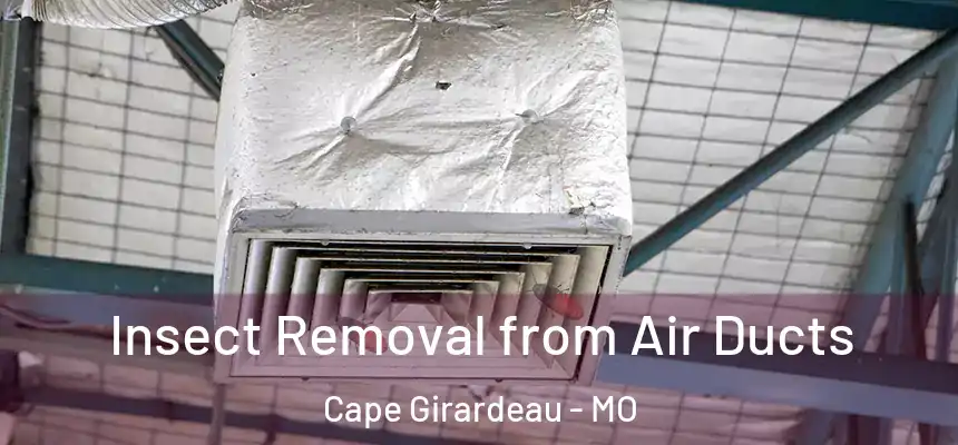 Insect Removal from Air Ducts Cape Girardeau - MO