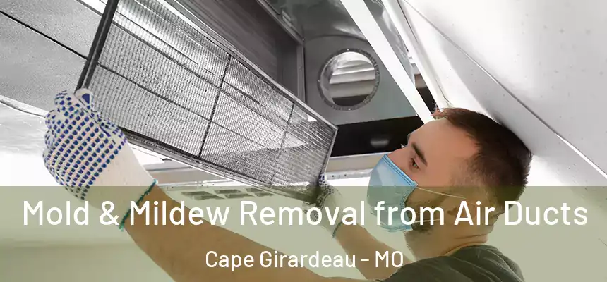  Mold & Mildew Removal from Air Ducts Cape Girardeau - MO