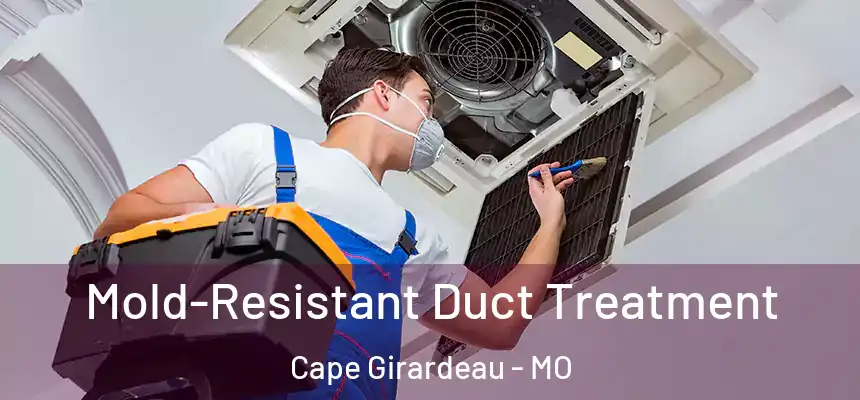 Mold-Resistant Duct Treatment Cape Girardeau - MO
