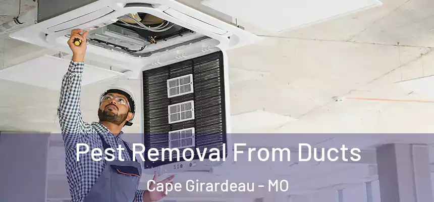  Pest Removal From Ducts Cape Girardeau - MO