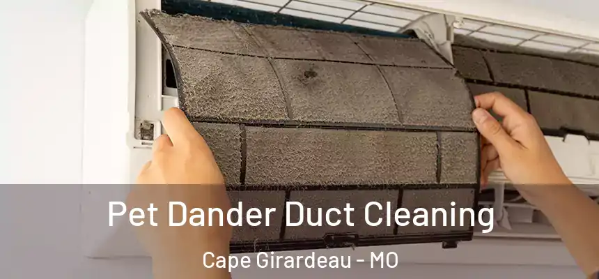 Pet Dander Duct Cleaning Cape Girardeau - MO