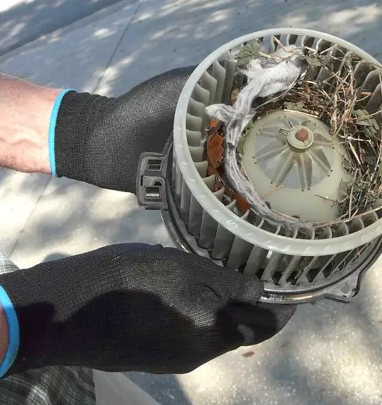 About Air Duct Rat Removal in Cape Girardeau, MO