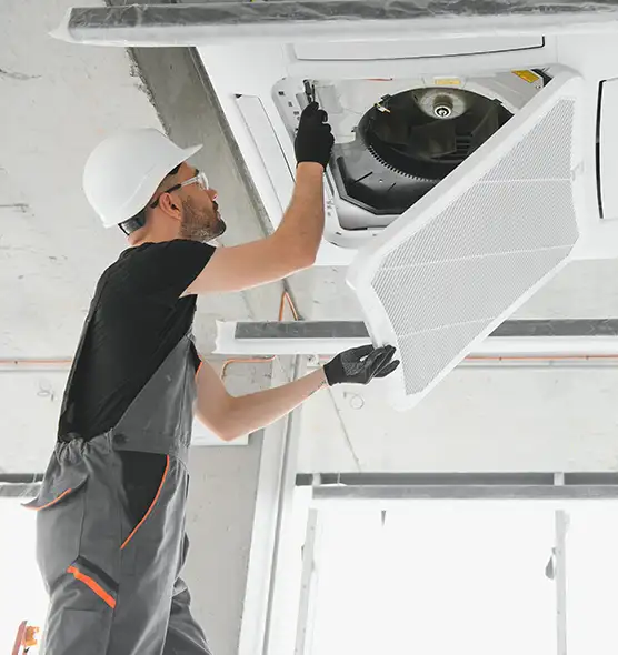 About Air Duct Rodent Removal in Cape Girardeau, MO