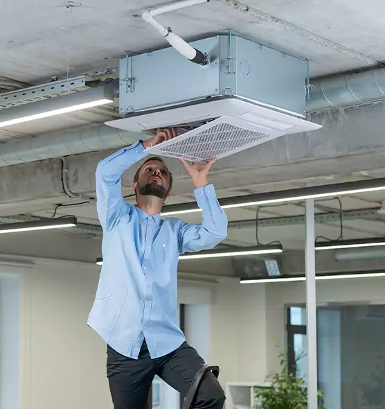 Advanced Rodent Droppings In Vents in Cape Girardeau, MO