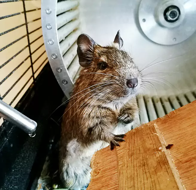 Why Homeowners & Businesses Trust Us Cape Girardeau, MO